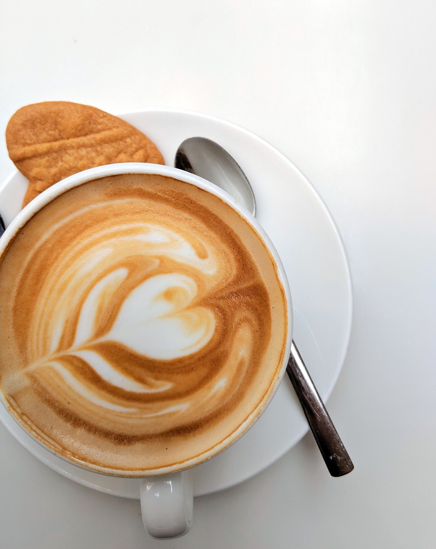 Golden Milk Protein Latte Mix
